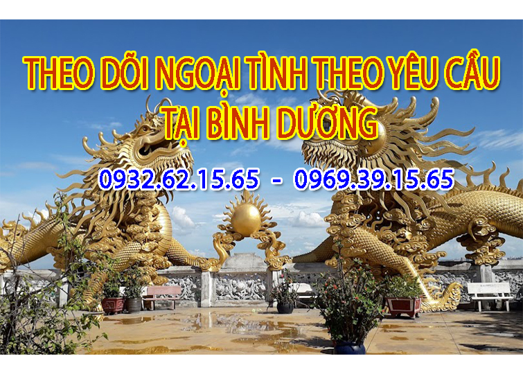 Dịch vụ Theo Dõi Theo Yêu Cầu Chuyên Nghiệp tại Bình Dương